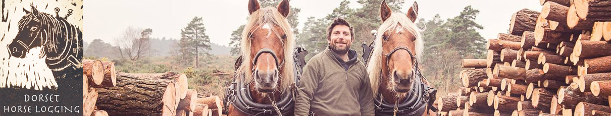 Dorset Horse Logging